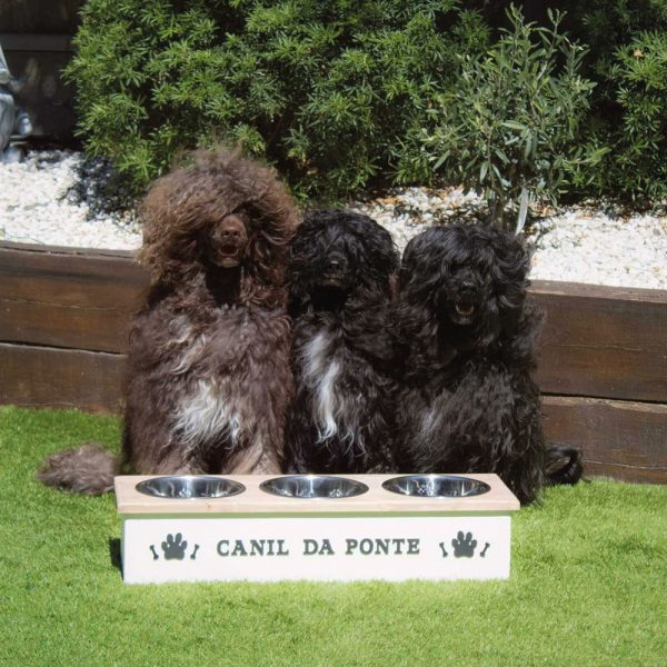 Trindleberry -Cornish Gifts for Pets