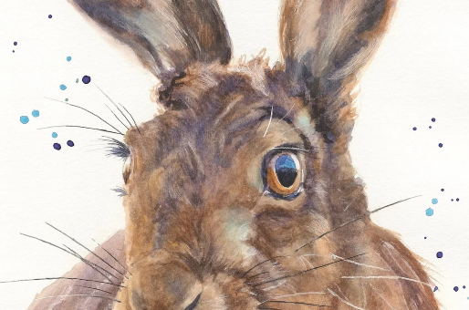 Hare - Cornish Gifts