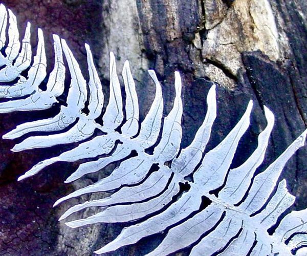 SALLY WILCOX HEADERS NEWSPAGE BLOGS - Cornish Gifts