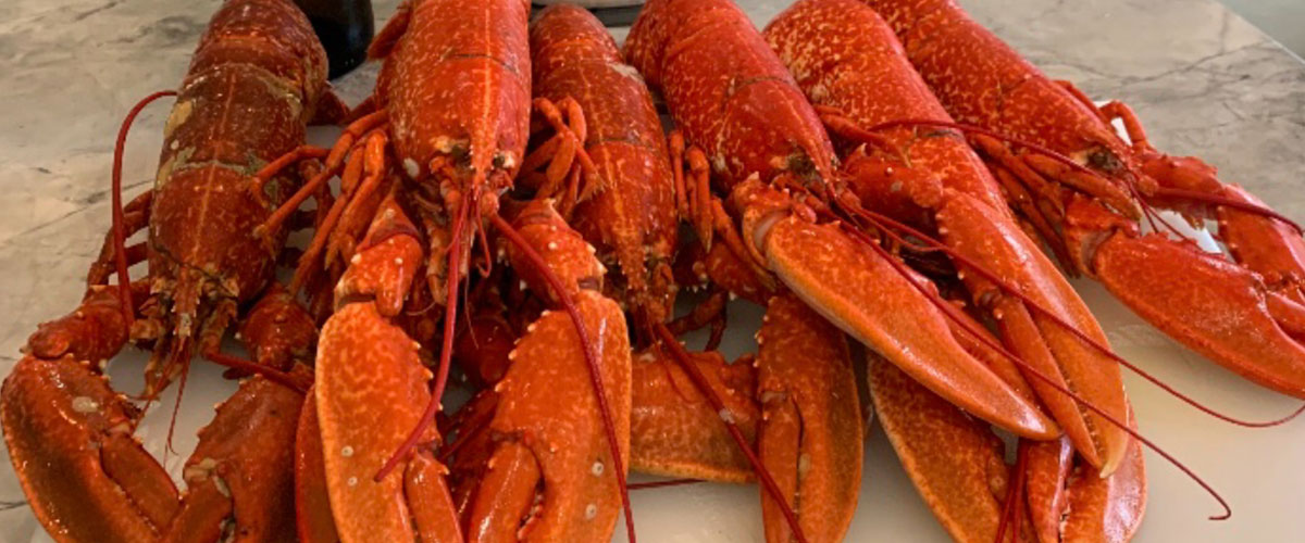 STEVENSONS FISHMONGERS