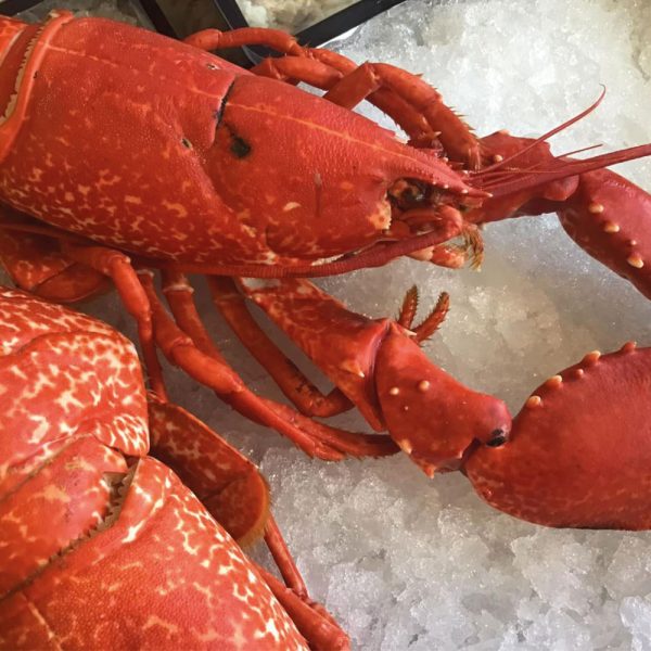 STEVENSON FISHMONGERS